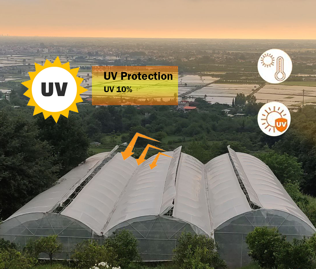 خرید نایلون گلخانه 10 درصد UV